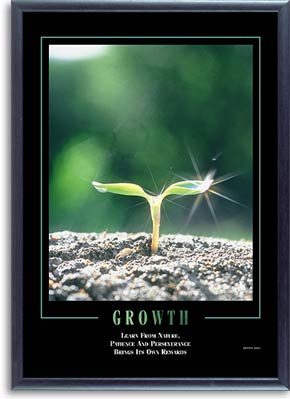 Motivational Framed Posters : Growth