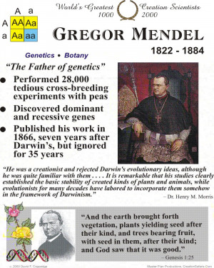 gregor mendel 1822 1884 the story of gregor mendel is
