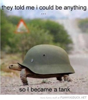 animal turtle army helmet shell could be anything became tank funny ...