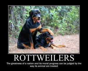 Rottweiler motivational by kitsune2008