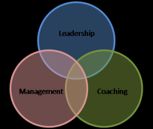 Management Skills - Standard Modules and Concepts