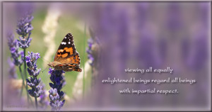 Impartial respect quotes, Buddhist quotes, enlighten quotes