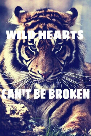 Wild hearts can't be broken