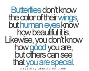 don't know the color of their wings, but human eyes know how beautiful ...