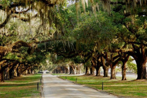 Boone Hall Plantation South Carolina