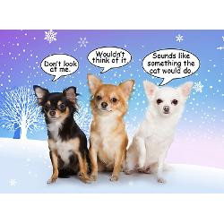 funny_chihuahua_christmas_cards_pk_of_20.jpg?height=250&width=250 ...