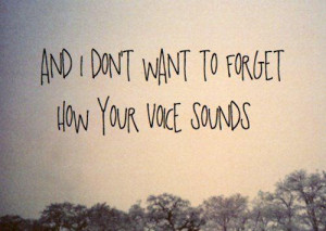 the sound of your voice