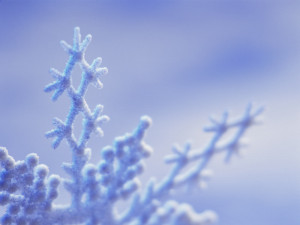 Frost winter forms wallpapers and images