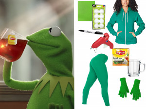 Here's The Truth Tea Kermit Meme Costume You Need For Halloween - MTV