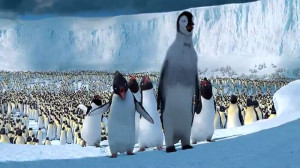 Pictures from video Note: To view in high resolution, click on them