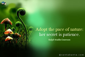 Adopt the pace of nature, her secret is patience.