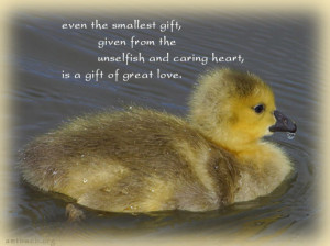 Even the smallest gift, given from the unselfish and caring heart is a ...