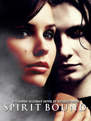 Vampire Academy Rose and Dimitri Vampire Academy by Richelle Mead