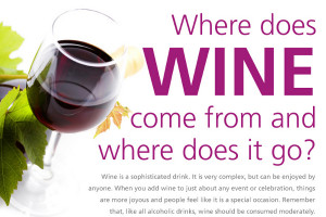 Funny Quotes and Sayings About Wine