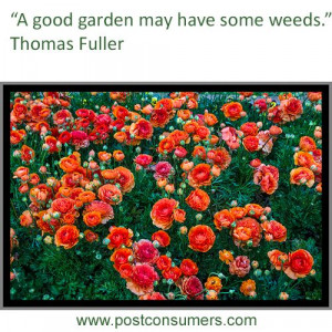 Gardening Quote: Love the Weeds Too