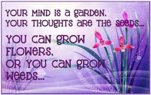 Your Mind Is A Garden, Your Thoughts Are The Seeds
