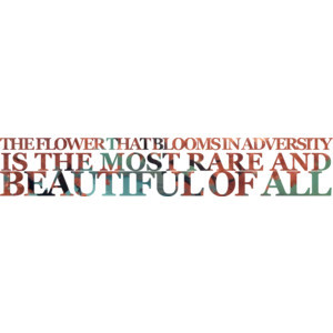 Like it to save to your profile