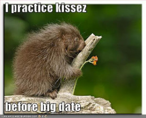 funny animal with funny sayings funny animal with funny sayings funny ...