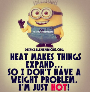 Minion-Quotes-Heat-makes-things-expand.jpg