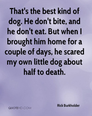 Best Dog Quotes On Images - Page 15