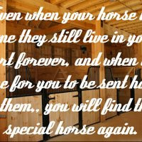 horse quotes photo Gone but Not Forgotten horse stalls medium jpg