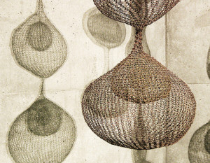 Featured Artist: Ruth Asawa