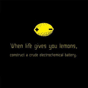 When Life Gives You Lemons Construct A Crude Electro Chemical Battery