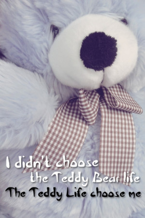 did not choose the teddy bear
