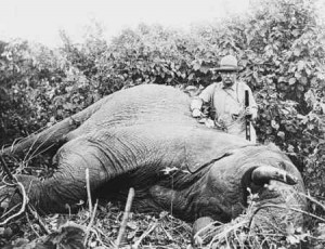 Teddy Roosevelt can be seen as a model hunter for many people. This is ...