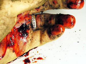 broken bleeding heart quotes