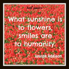 ... flowers more smile flowers flowers quotes happy quotes quotes smile