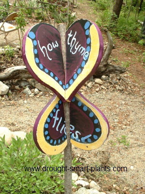 like old thymes thyme to go make thyme for yourself have a good thyme ...