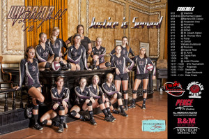 Volleyball Team Posters Banners and schedule posters