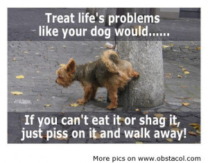 com treat lifes problems like your dog would funny quote