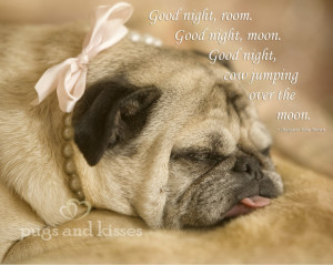 ... Sweet dreams to you all! Pugs and Kisses ♥♥♥ Gretta Rose the pug