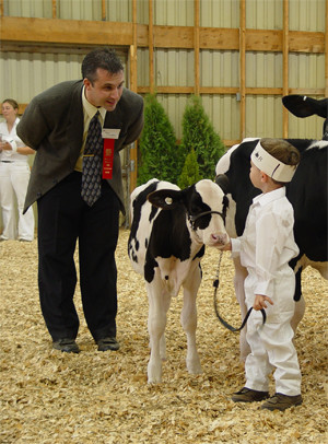 KIDS, CALVES and COMPETITION: Safety in the Dairy Ring