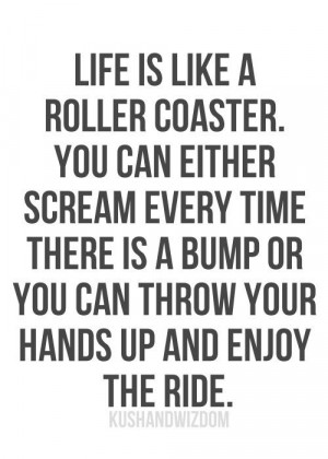 Life is like a roller coaster. You can either scream every time there ...