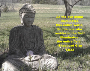 Buddha Karma Quotes Buddha gita quote