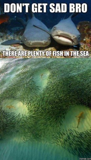 Plenty of fish in the sea