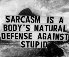 sarcasm posters nice-pins