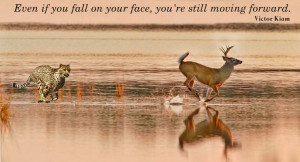 Even if you fall on your face, you’re still moving forward.
