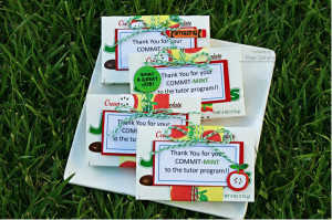 Volunteer Appreciation Gifts