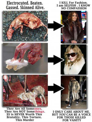 ... Say NO to animal fur fashion. STOP MURDERING ANIMALS FOR THEIR SKIN