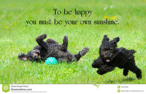 ... Jerningham with two adorable poodles enjoying life to the fullest