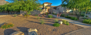 Tucson Landscape Contractor - Design, Installation & Maintenance