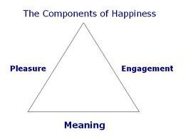 psychology alliance positive psychology is a branch of psychology ...