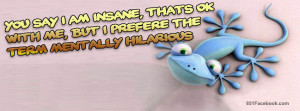 quotes-silly-lizard-so-funny-haha-cute-facebook-timeline-cover.jpg