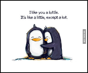 cute, i like you, like, little, lot, love, penguin, pinguin, sweet ...