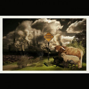 ... pollution quote word earth conservation environment wildlife l1