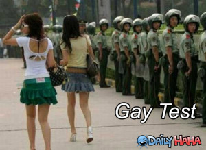 Gay_Test_funny_picture